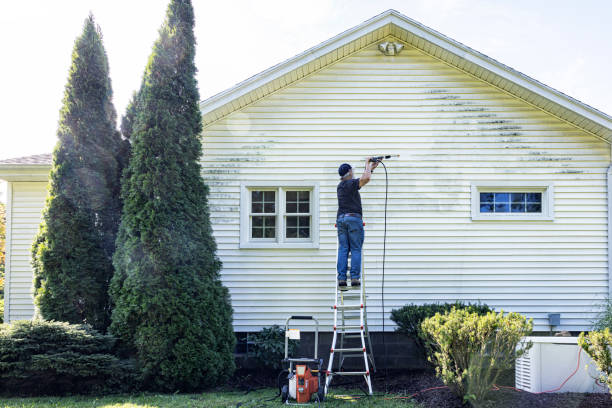 Best Deck Cleaning Services  in Lynn, IN