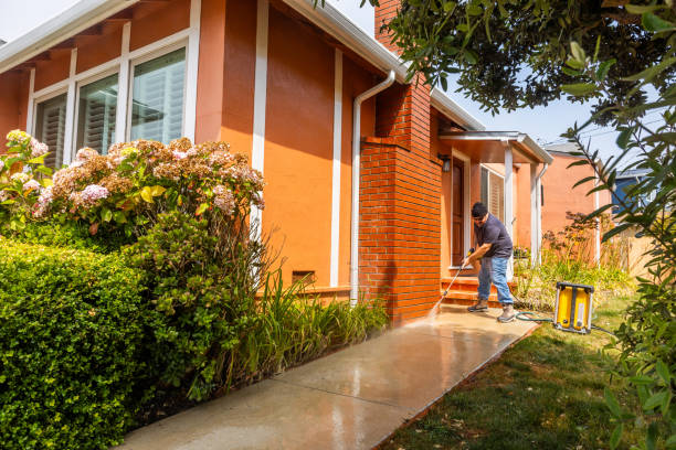 Best Roof Pressure Washing  in Lynn, IN